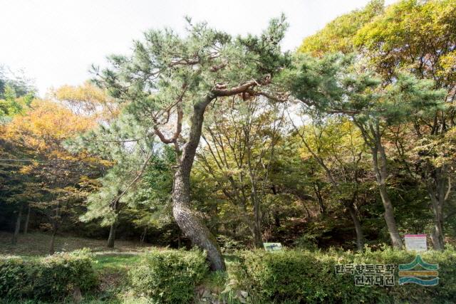 대표시청각 이미지